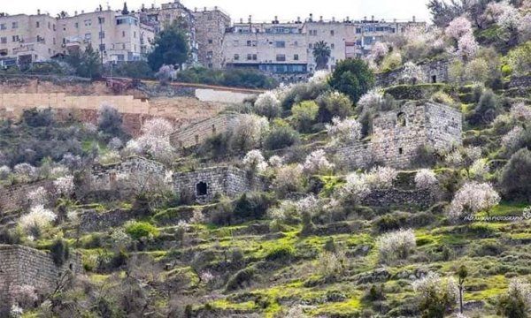  | موسوعة القرى الفلسطينية