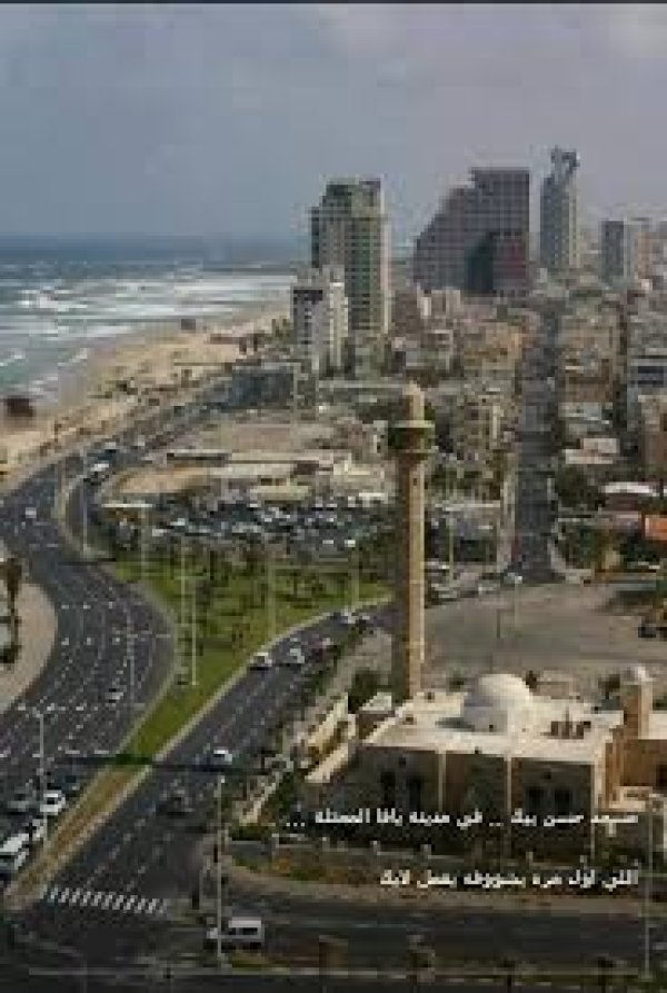 قرية السافرية قرية السافرية