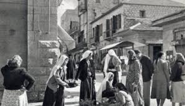 قرية السافرية قرية السافرية