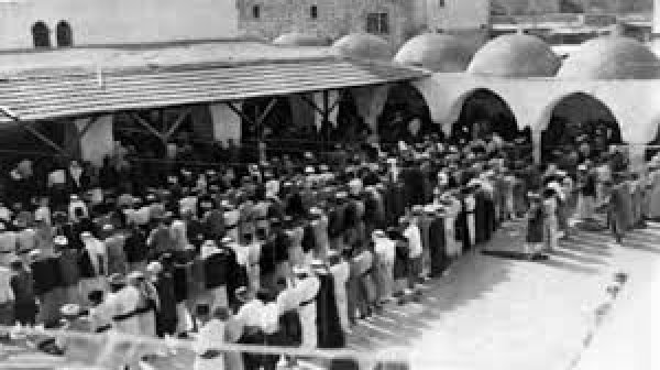 قرية السافرية قرية السافرية