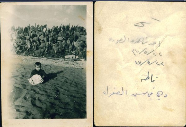 قرية السافرية قرية السافرية