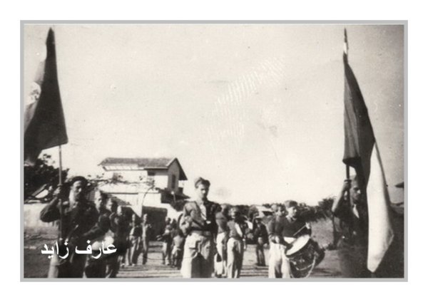 قرية السافرية قرية السافرية