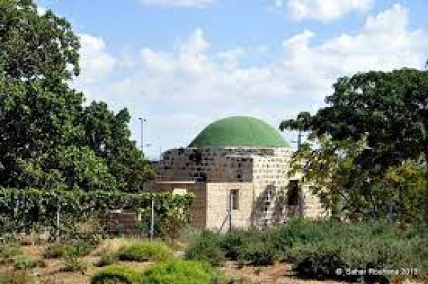  | موسوعة القرى الفلسطينية