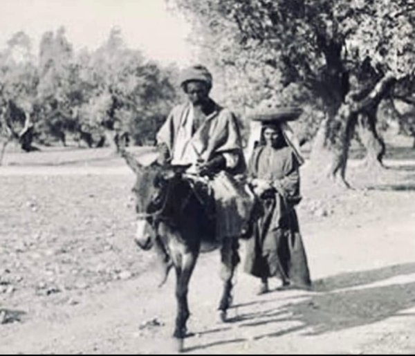 قرية يازور / يافا قرية يازور / يافا