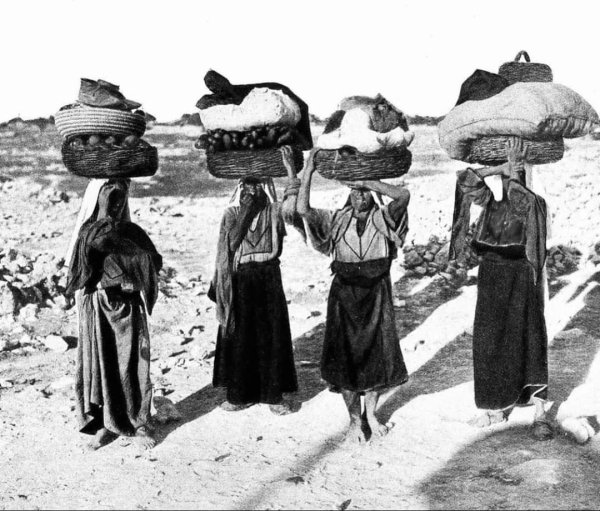 قرية يازور / يافا قرية يازور / يافا