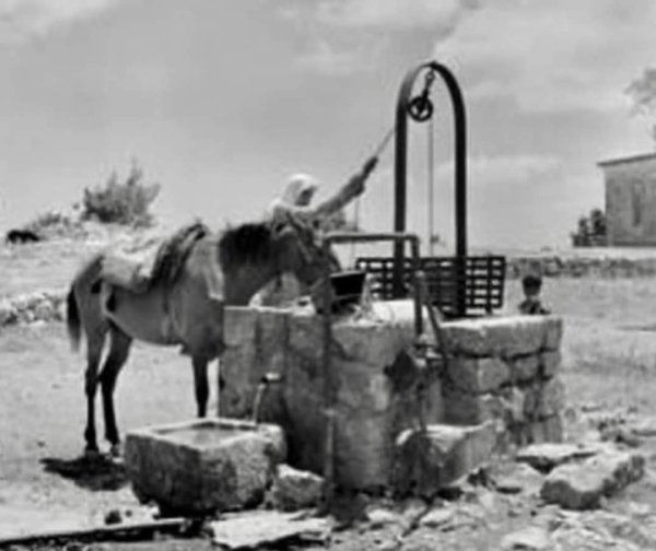قرية يازور / يافا قرية يازور / يافا