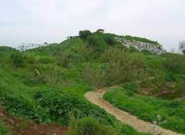  | موسوعة القرى الفلسطينية