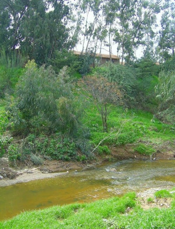  | موسوعة القرى الفلسطينية