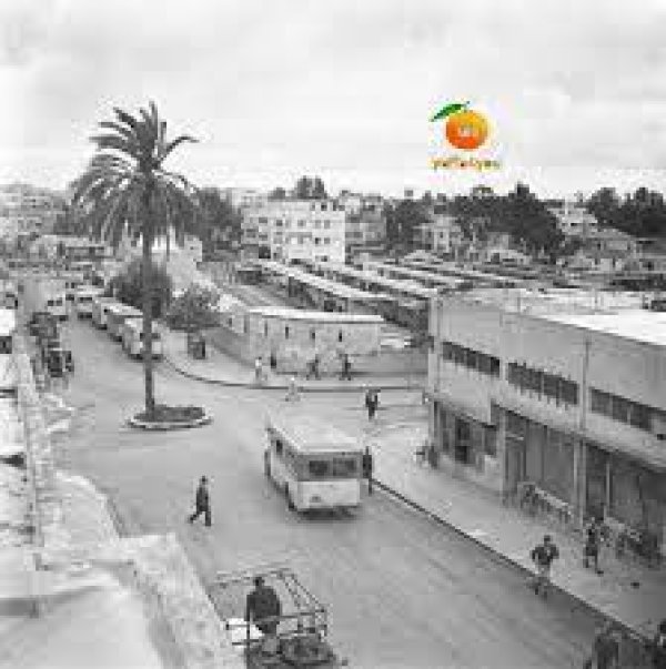 قرية الساقية قرية الساقية