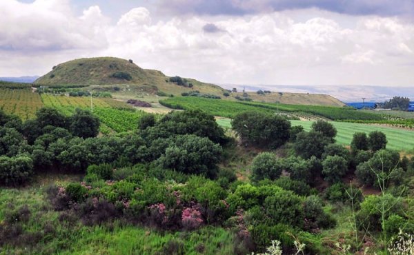  | موسوعة القرى الفلسطينية