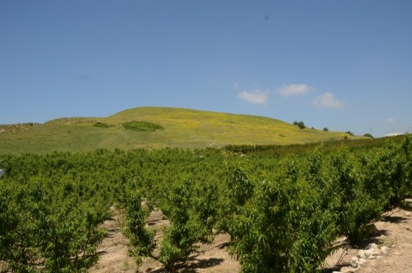  | موسوعة القرى الفلسطينية