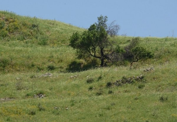  | موسوعة القرى الفلسطينية