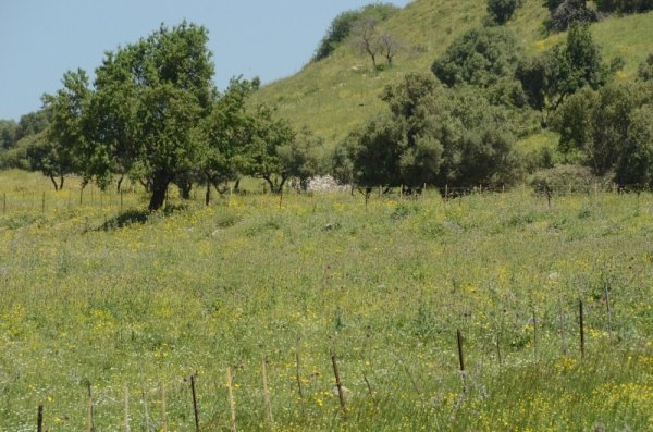  | موسوعة القرى الفلسطينية