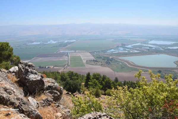  | موسوعة القرى الفلسطينية