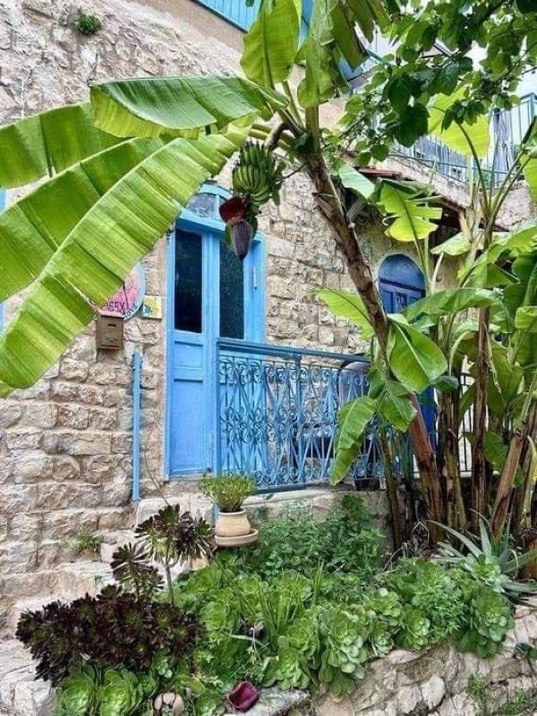 من قرية الجاعونة جنوبي شرقي صفد المحتلة  تصوير : علي الزيبق،،