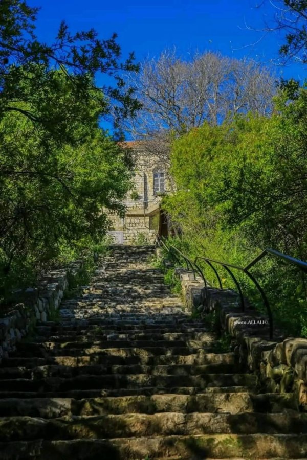 منازل قرية الجاعونة بعدسة علي علي