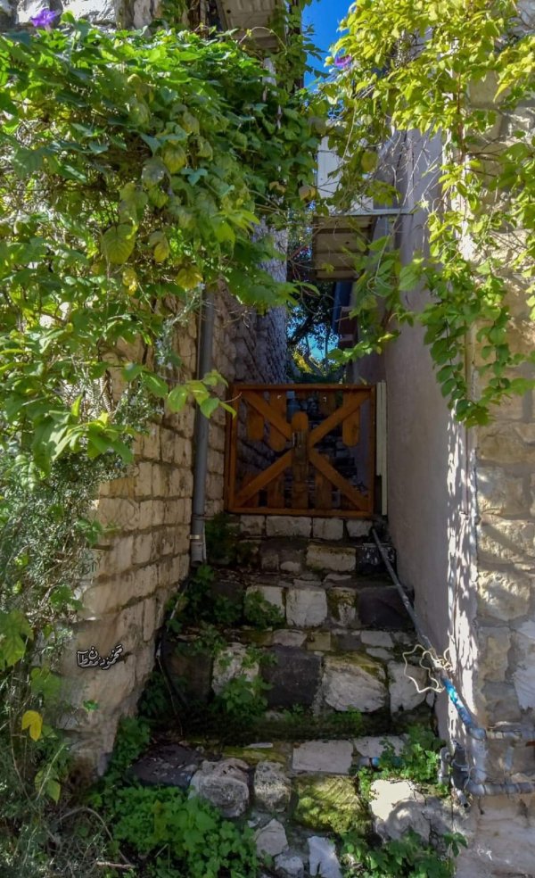 قرية الجاعونة بعدسة:محمود معطان