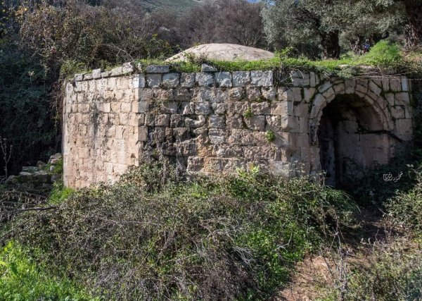 قرية الجاعونة بعدسة:محمود معطان