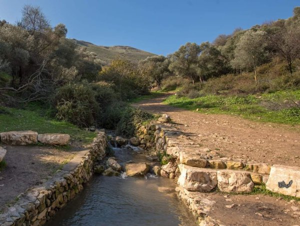 قرية الجاعونة بعدسة:محمود معطان