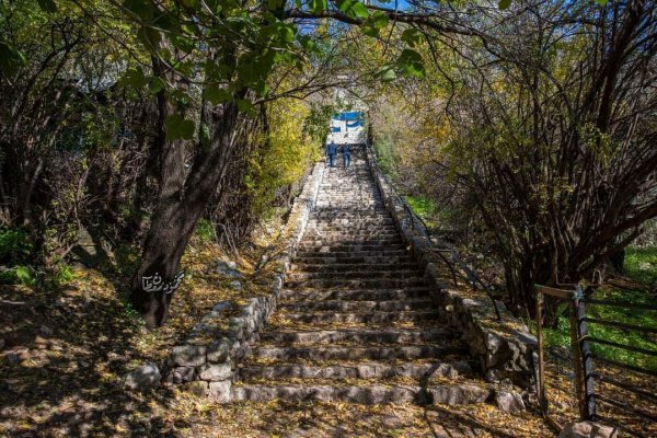 قرية الجاعونة