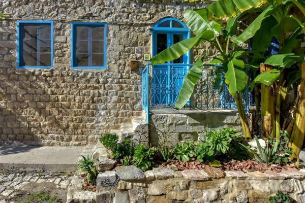 قرية الجاعونة