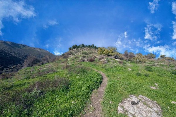 قرية الجاعونة