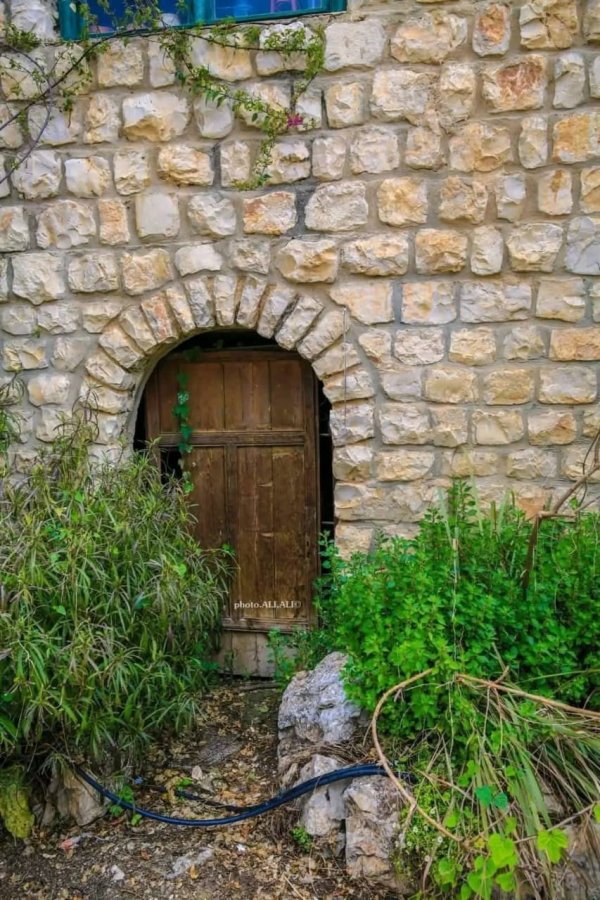 منازل قرية الجاعونة بعدسة علي علي