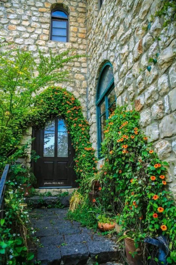 منازل قرية الجاعونة بعدسة علي علي