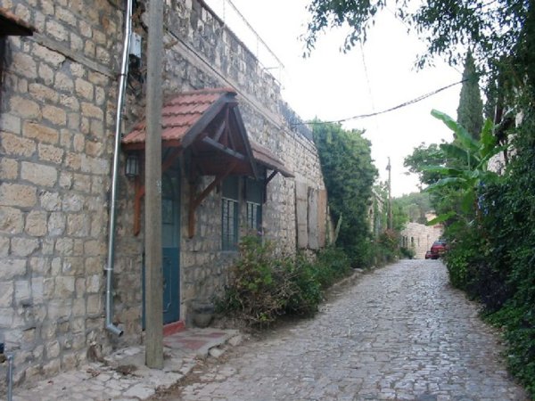 قرية الجاعونة