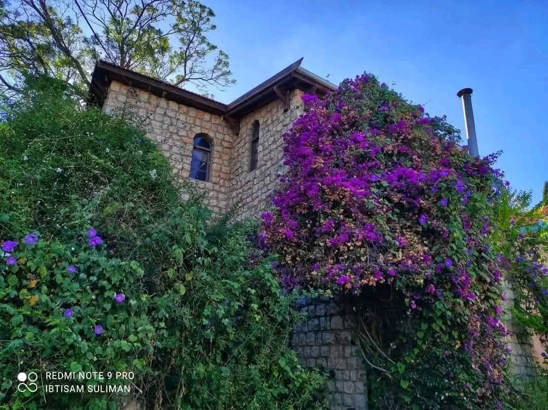 قرية الجاعونة / صفد