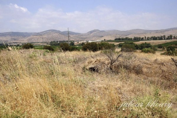  | موسوعة القرى الفلسطينية