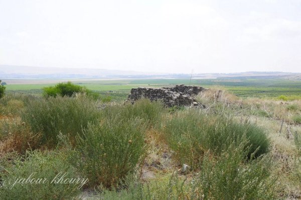  | موسوعة القرى الفلسطينية