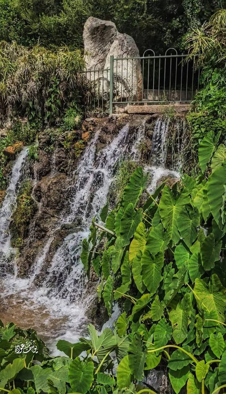 قرية الخصاص - صفد / بعدسة يوسف عودة