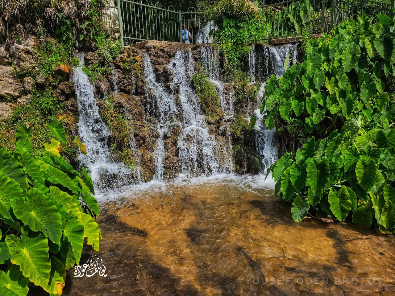 قرية الخصاص - صفد / بعدسة يوسف عودة