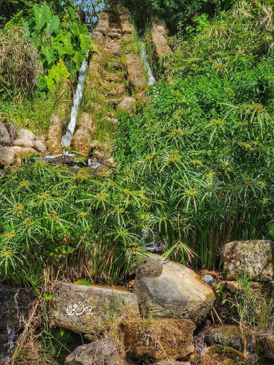 قرية الخصاص - صفد / بعدسة يوسف عودة