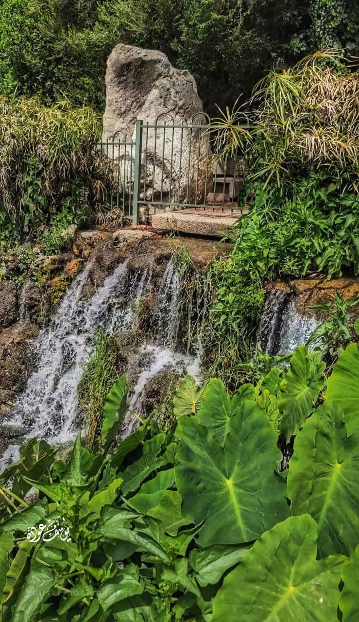 قرية الخصاص - صفد / بعدسة يوسف عودة