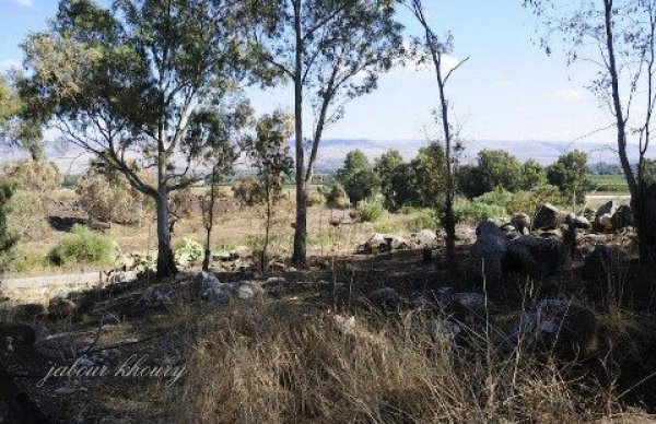  | موسوعة القرى الفلسطينية