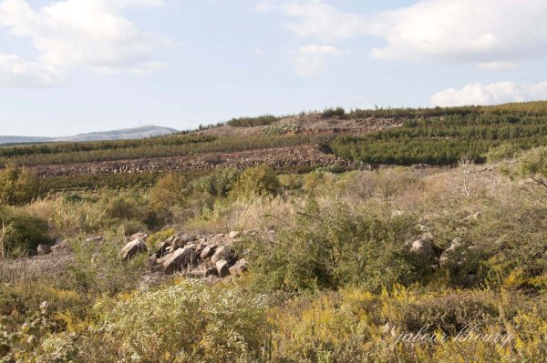  | موسوعة القرى الفلسطينية