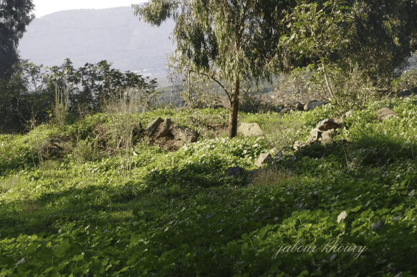  | موسوعة القرى الفلسطينية