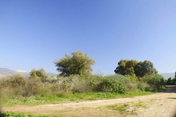  | موسوعة القرى الفلسطينية