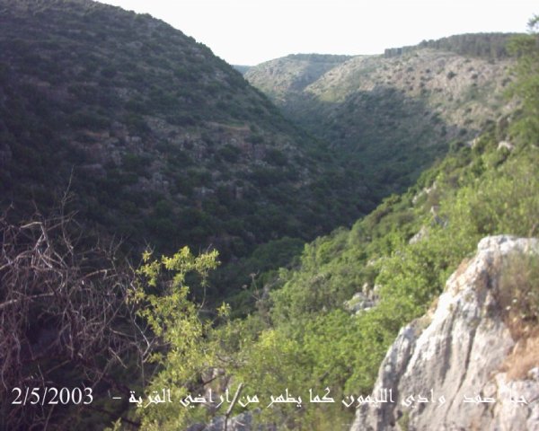 | موسوعة القرى الفلسطينية  | موسوعة القرى الفلسطينية