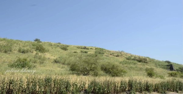  | موسوعة القرى الفلسطينية