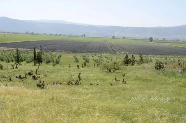  | موسوعة القرى الفلسطينية