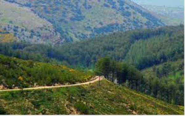  | موسوعة القرى الفلسطينية