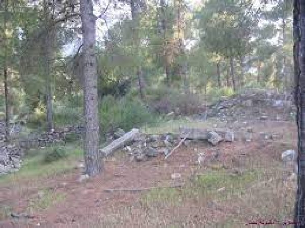  | موسوعة القرى الفلسطينية