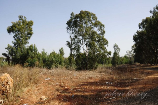 موقع قرية العلمانية