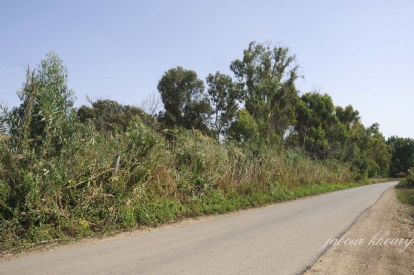 موقع قرية العلمانية من الجهة الجنوبية