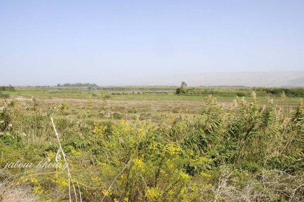 من أراضي العلمانية باتجاه الشمال وتظهر عين الملاحة