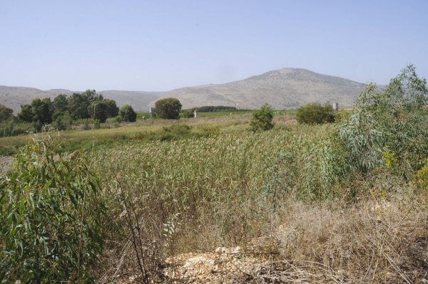 موقع قرية العلمانية يقابلها جبل هراوي