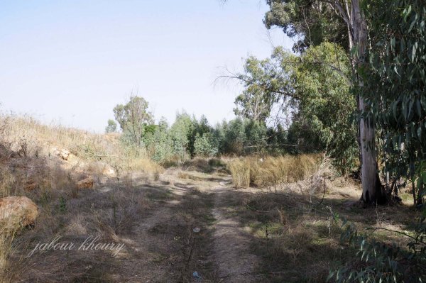 أراضي قرية العلمانية